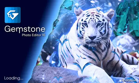 ACDSee Gemstone Photo Editor 16.0.0.1820 (x64)
