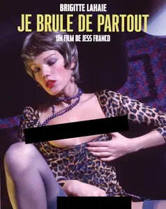 I Burn All Over (1979) Je brûle de partout