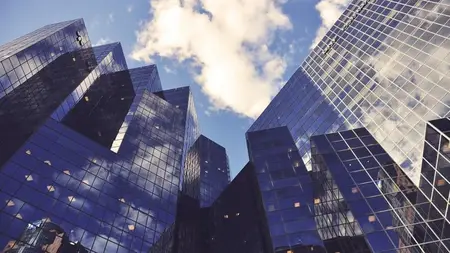 Finance in practice: Currency risk & transactions
