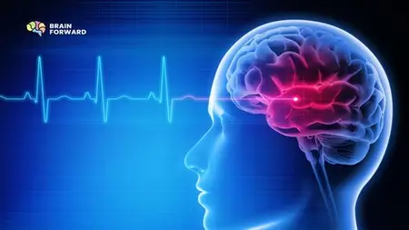 Brain Training 101: Boost Focus, Memory & Mental Agility