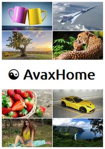 AvaxHome Wallpapers Part 132