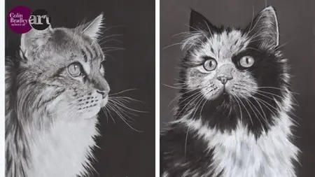 Master Cat Portraits: Create Stunning Feline Art With Pastel