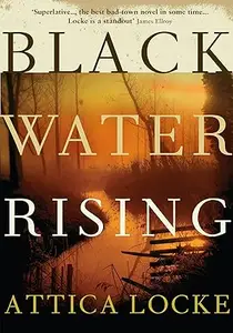 Black Water Rising: A Novel