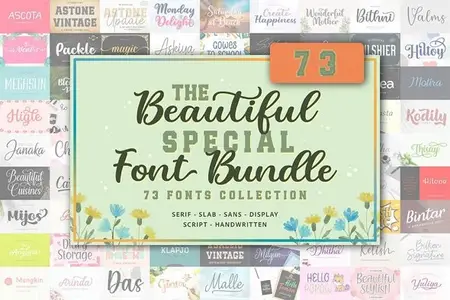 The Beautiful Special Font Bundle - 73 Premium Fonts