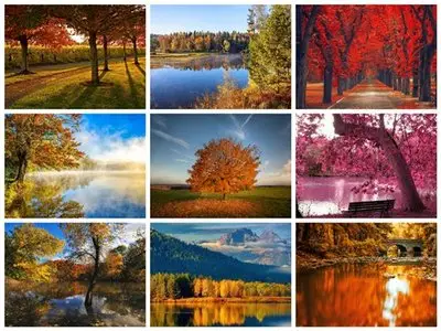 50 Beautiful Autumn HD Wallpapers Set 7