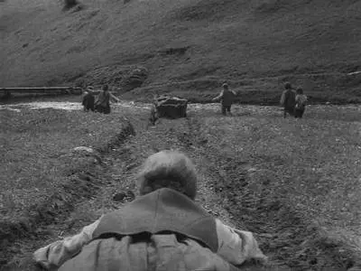 Samorastniki / The Wild Growth (1963)
