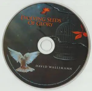 David Wallimann - Evolving Seeds Of Glory (2016)