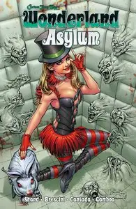 Grimm Fairy Tales - Wonderland - Asylum Vol 1 TPB (2014)