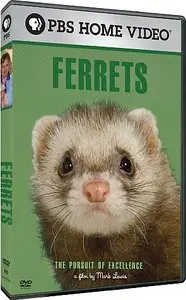 PBS - Ferrets: The Pursuit of Excellence (2007)