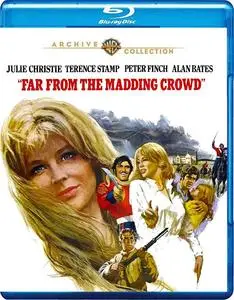 Far from the Madding Crowd (1967)