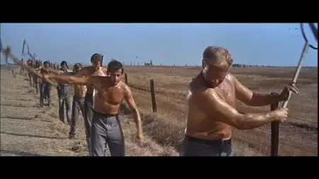 Cool Hand Luke (1967) DVD9