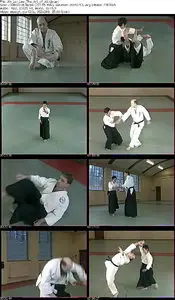 Ah Loi Lee - The Art of Aikido