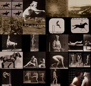 Eadweard Muybridge, Zoopraxographer (1975)