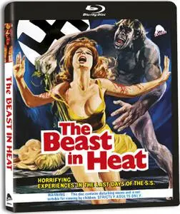 La bestia in calore / The Beast in Heat (1971)