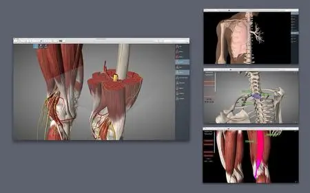 Essential Anatomy v5.0.5 macOS