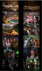 The Wizard of Oz (1939) [w/Commentary]