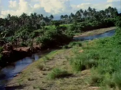 Hearts of Darkness: A Filmmaker's Apocalypse (1991)