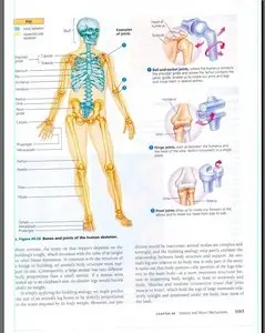 Biology, 7th Edition by Neil A. Campbell, Jane B. Reece
