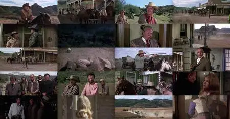 Chisum (1970)