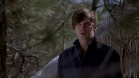 Donner Pass (2012)