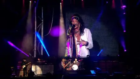 Aerosmith - Rocks Donington 2014 (2015) [3CD Japanese Ed. + BDRip + DVD-9]