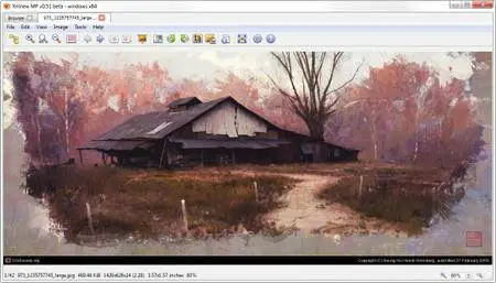 XnViewMP 0.80 Portable