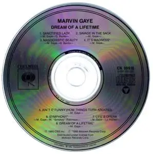 Marvin Gaye - Dream Of A Lifetime (1985)