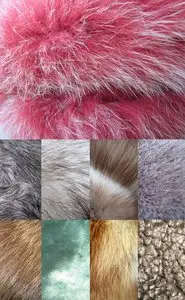 Skin and Furs