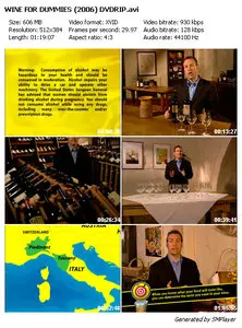 Wine for Dummies (2006)