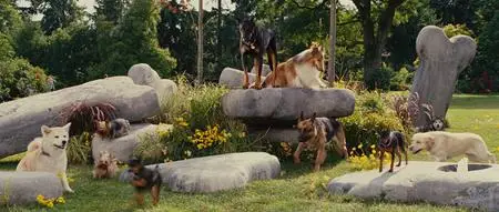 Marmaduke (2010)