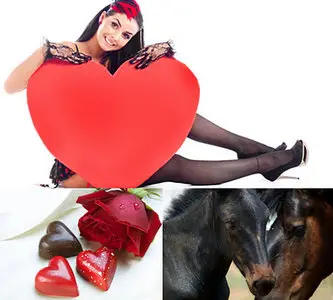 Airena wallapack 203