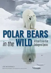 Polar Bears In The Wild: A Visual Essay of an Endangered Species (Repost)