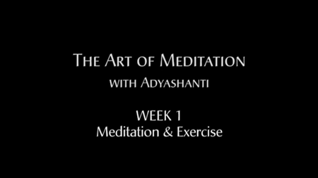 Adyashanti - The Art of Meditation