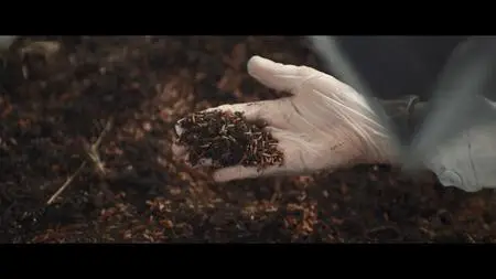 La nuée / The Swarm (2020)