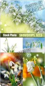 Snowdrops. Set.5 - Stock Photo