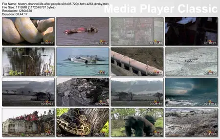 History Channel - Life After People S01E05
