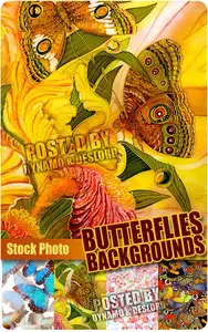 Butterflies background - UHQ Stock Photo