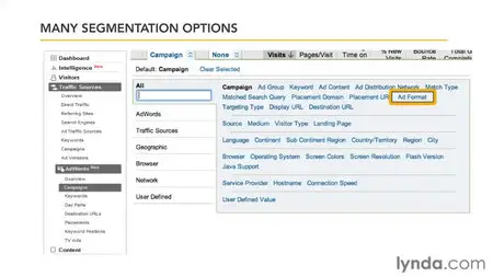 Google Analytics Essential Training (Repost)