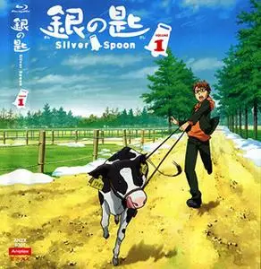 Silver Spoon (2014) (2 CD) [Audiobook]