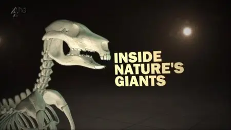 CH4 Inside Nature's Giants - Kangaroo (2012)