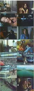Stacey (1973)