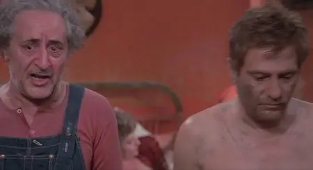 Attenti al buffone - by Alberto Bevilacqua (1975)