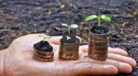 How to use sustainability to increase cashflow and income