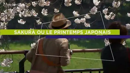 (Arte) Sakura ou le printemps japonais (2016)