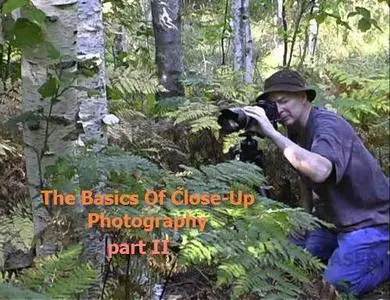 The Basics Of Close-Up Photography - Part 2 