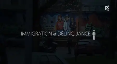 (Fr2) Infrarouge - Immigration et délinquance (2014)