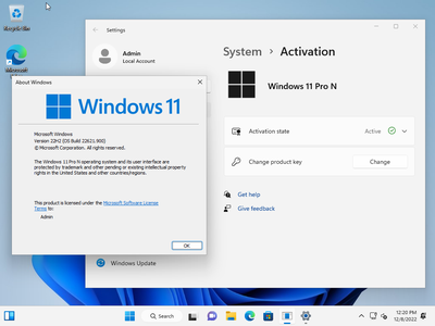 Windows 11 22H2 Build 22621.900 Aio 13in1 (No TPM Required) Multilingual Preactivated