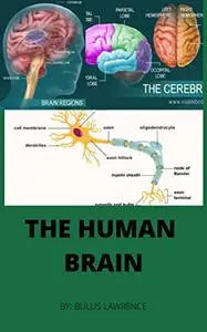 THE HUMAN BRAIN: 2022 Physiology of the Human Brain.