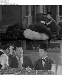 Laurel & Hardy: Their Lives and Magic (2011)