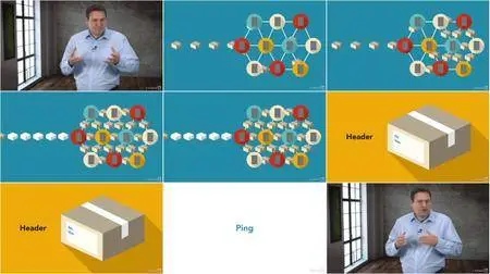 Video2Brain - Grundlagen der Informatik: Das Internet